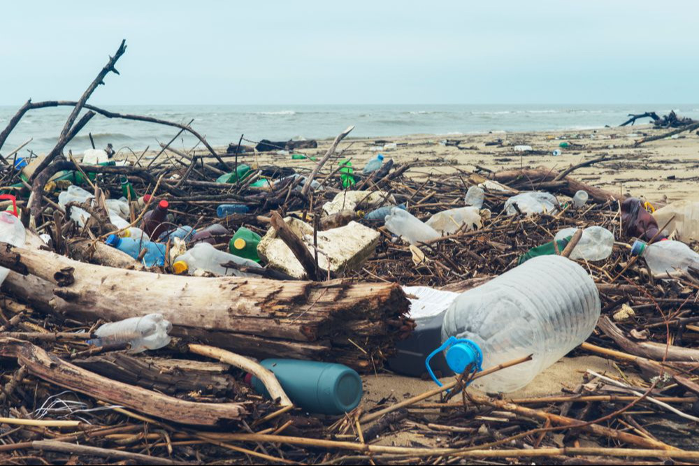 Déchets déversés sur la plage de la grande ville. Bouteilles en plastique usagées et sales. Rivage sablonneux sale de la mer Noire. Pollution environnementale. Problème écologique. Flou cinétique des 